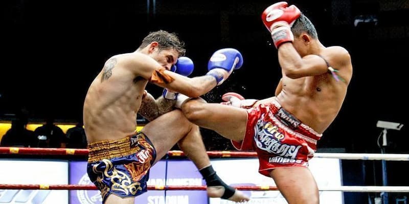 Chiến lược hiệu quả khi cá cược boxing